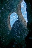 islande ice cave arch2.jpg